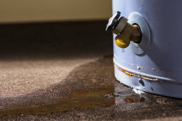  Eureka Springs, AR Water damage restoration Pros