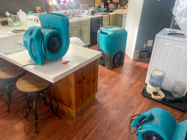 Best Water damage contractors near me  in Eureka Springs, AR