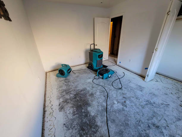 Best Commercial water damage restoration  in Eureka Springs, AR