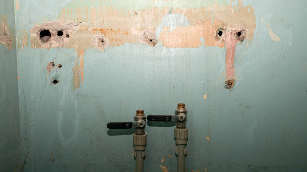 Local water damage restoration in AR