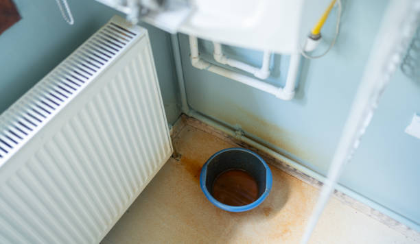 Best Carpet water damage restoration  in Eureka Springs, AR