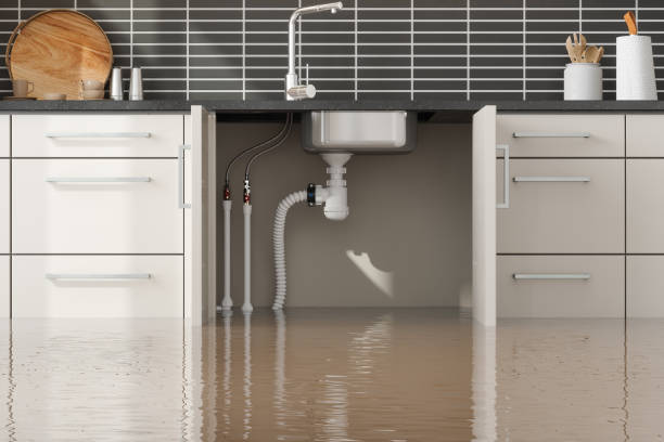 Best Water damage cleanup near me  in Eureka Springs, AR